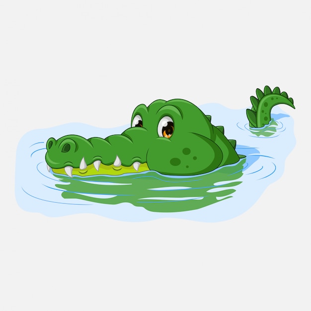 Cartoon krokodil zwemmen in water