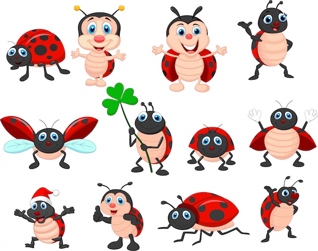 Vector cartoon ladybug collection set