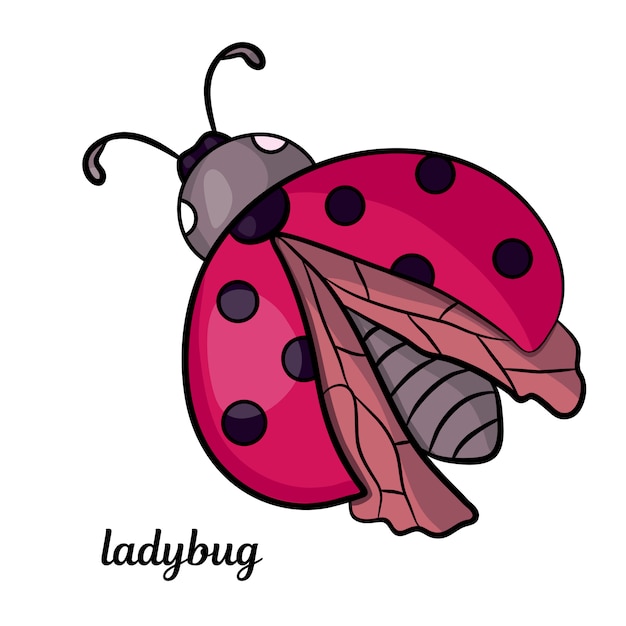 Cartoon Ladybug. Red insect.