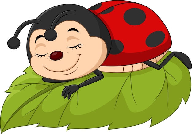 Cartoon ladybug sleeping on leaf