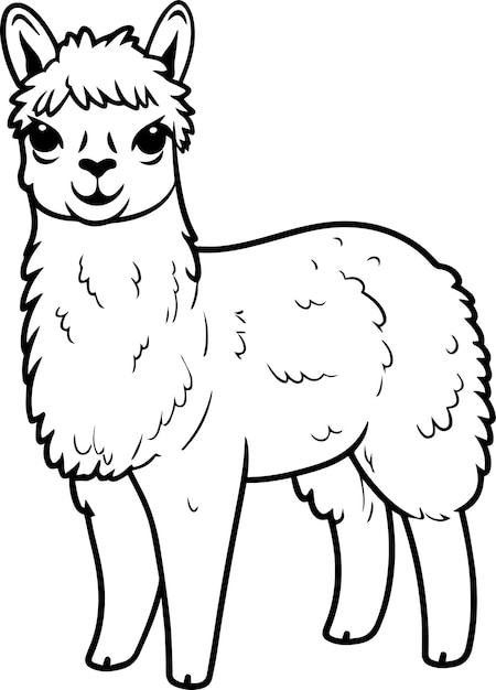 Cartoon Lama Cute Alpaca Vector illustratie