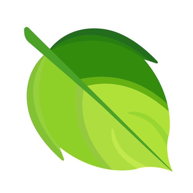 Vector cartoon leaf icon on white vector illustration