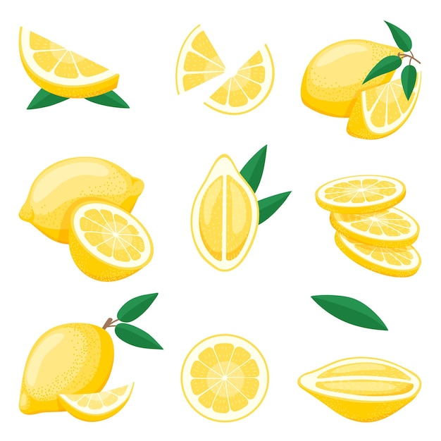 Vector cartoon lemon cut citrus slices fresh lemons piece isolated yellow fruits lemonade raw ingredients flat cartoon vitamin organic food neoteric vector set