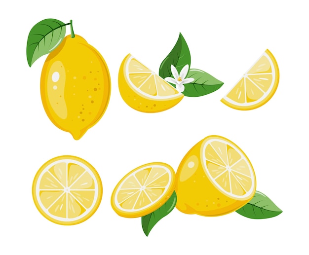 Вектор Коллекция мультяшных лимонных иллюстраций. сбор свежих фруктов лимона, выделенных на белом