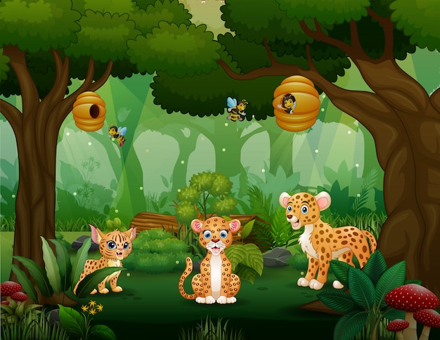 Мультфильм леопардовая семья играет посреди леса