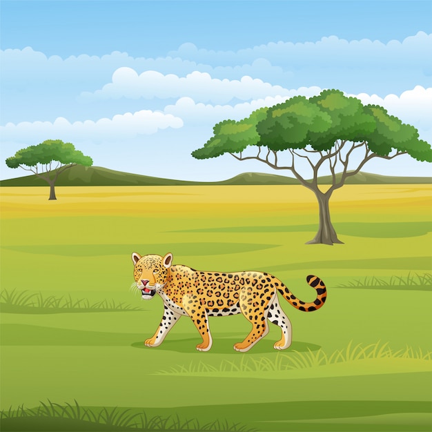 Leopardo del fumetto nella savana