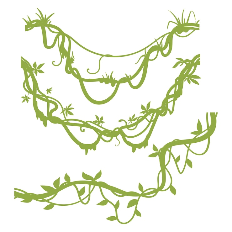 Vector cartoon liana plants flat vector illustration set rainforest liana vines silhouettes on white