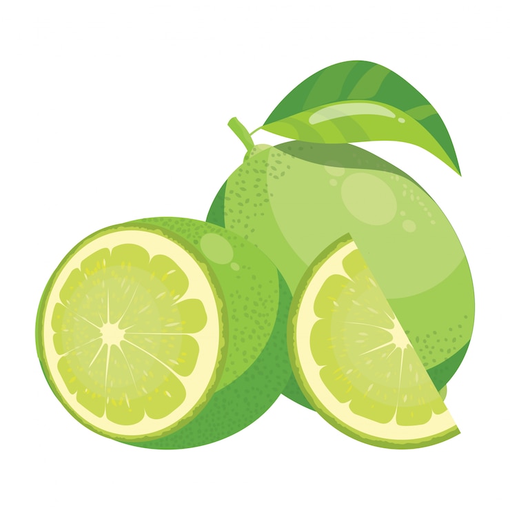 Vector cartoon lime. fresh vitamin fruit. juicy citrus cut into slices. drawing for children.