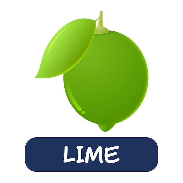 Cartoon lime fruit vector isolated on white background