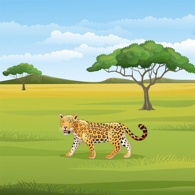 Cartoon luipaard in de savanne