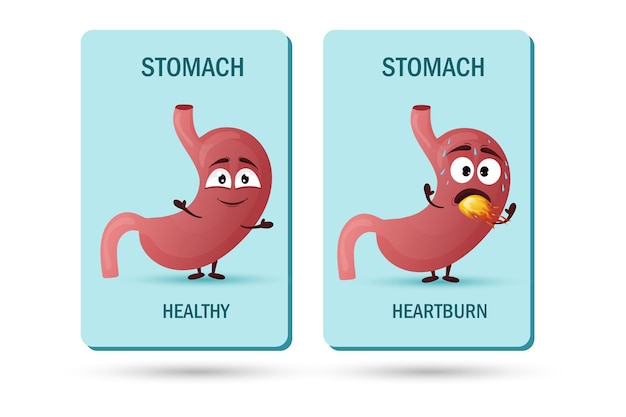 Cartoon maag karakter concept van gezonde en zieke inwendige organen brandend maagzuur vector illustratie geïsoleerde witte achtergrond