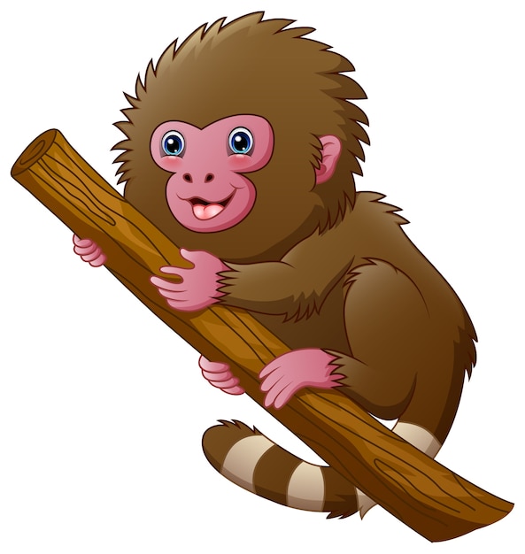 Vector cartoon macaque monkey