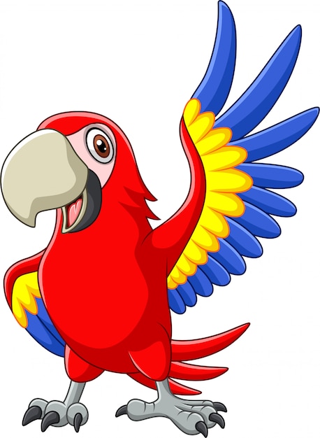 Vector cartoon macaw waving