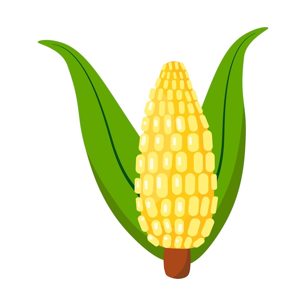 Cartoon maïs plant geïsoleerde vector pictogram Plantaardig voedsel Koken ingrediënt Landbouw concept
