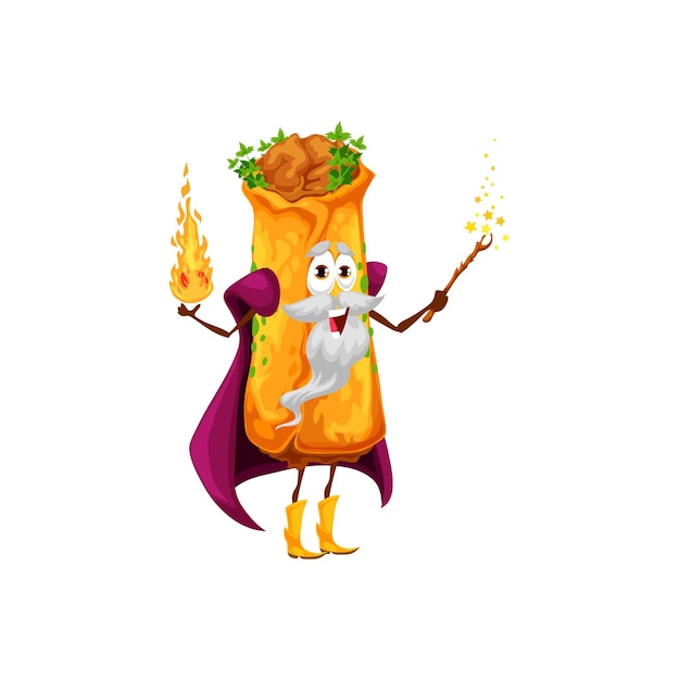 Vector cartoon mexican enchilada magician character