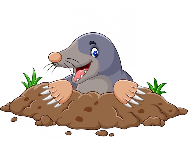 Cartoon mole come out of the hole