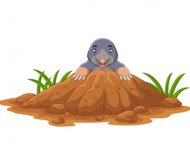 Cartoon mole come out of the hole