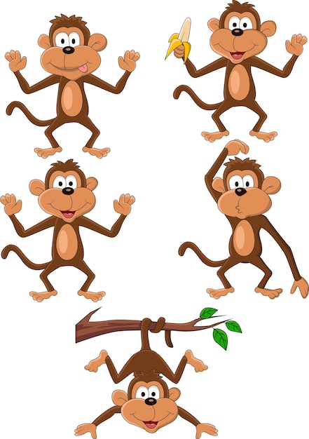 Cartoon monkey