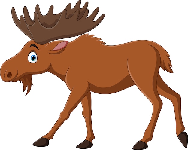 Cartoon moose on white background