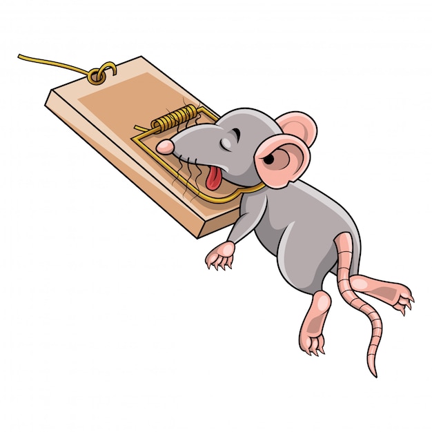 Vector cartoon mouse dead in a mousetrap