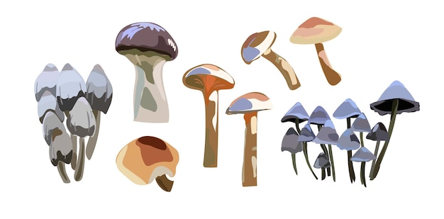Мультяшные грибы Ядовитые и съедобные грибы изолированные векторные иллюстрации набор лесных диких грибов