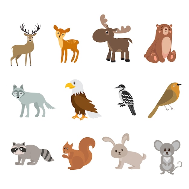 Vector cartoon musical dancing animals with music instruments funny wild animal raccoon and lion musicia