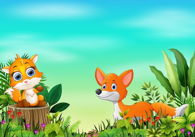 Cartoon of the nature scene with two fox