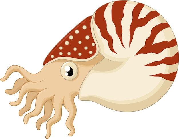 Cartoon nautilus