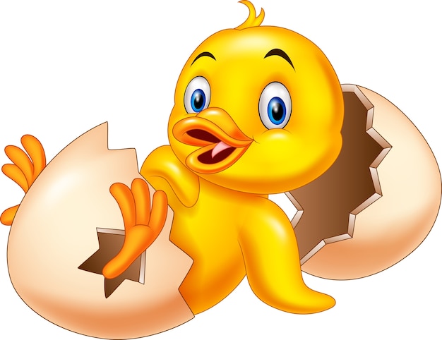 Cartoon new born duckling