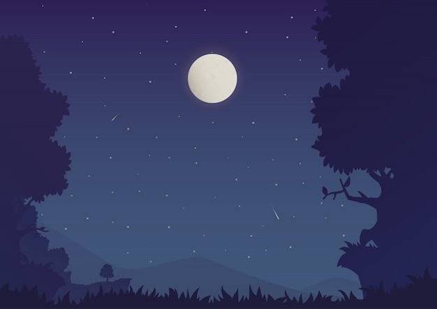 Vector cartoon night landscape