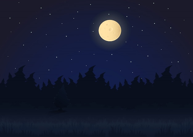 cartoon night landscape
