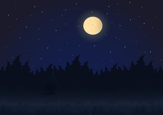 Vector cartoon night landscape