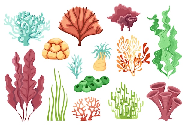 Cartoon Ocean Plants, Aquatic Life, Marine Coral Reef or Seaweeds Water Life Isolated on White Background