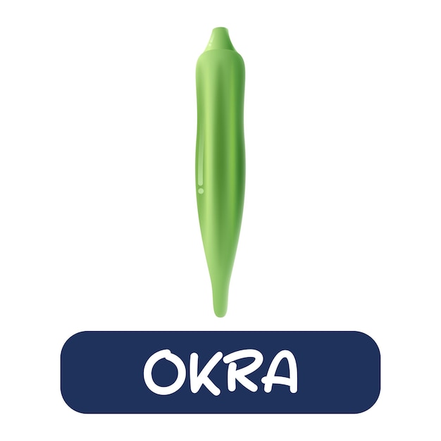 Cartoon okra groenten vector geïsoleerd op witte achtergrond