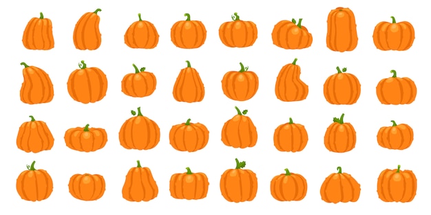 Cartoon orange pumpkin set