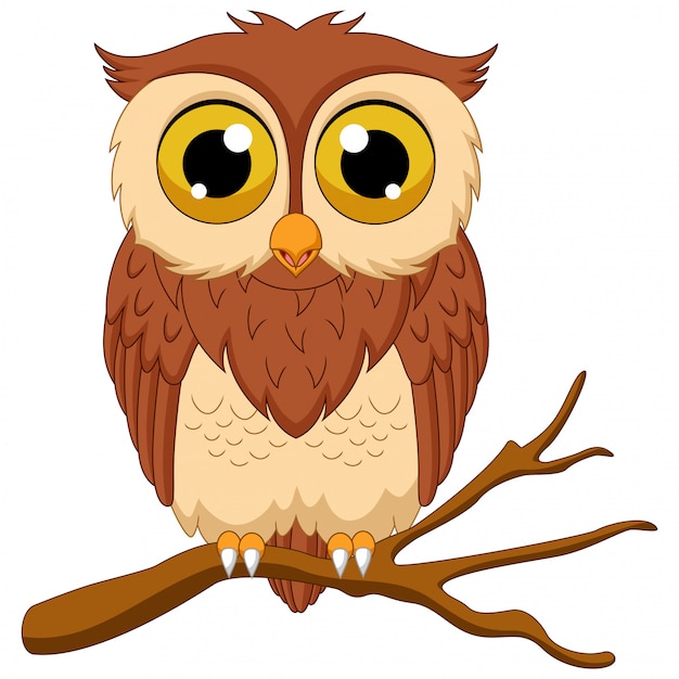 Vector cartoon owl isolated on white