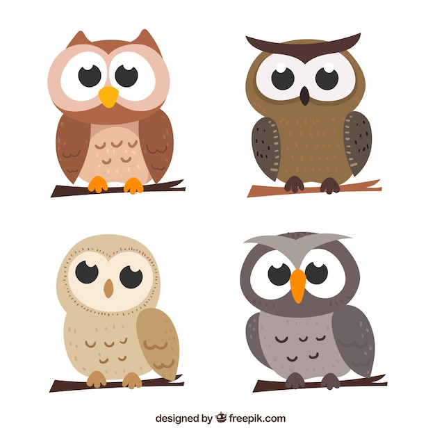 Cartoon owl set of four