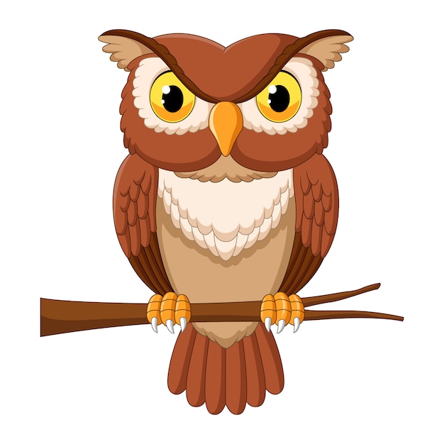 Premium Vector | Cartoon owl on tree branch