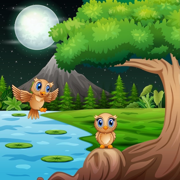 Мультяшные совы на дереве в ночном пейзаже
