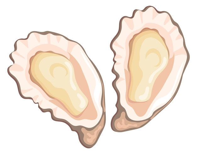 Cartoon oysters Seafood restaurant raw snack icon