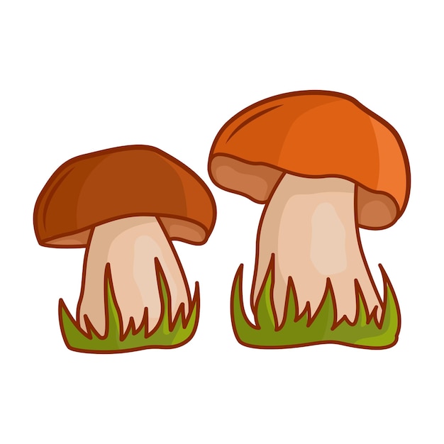 Cartoon paddestoelen Een reeks geïsoleerde vectorillustraties van eetbare paddestoelen Vector illustratie