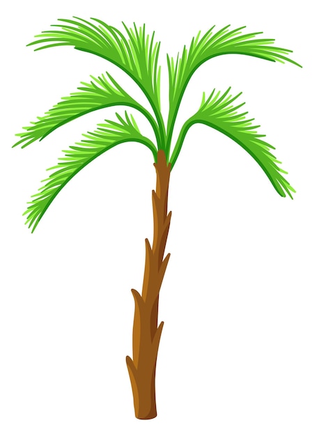 Cartoon palm Jungle groene boom Strandplant geïsoleerd op witte achtergrond