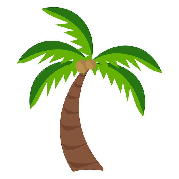 Premium Vector | Cartoon palm tree on white background with coconuts ...