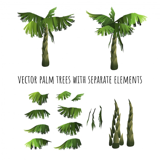 Cartoon palm trees with separated elements