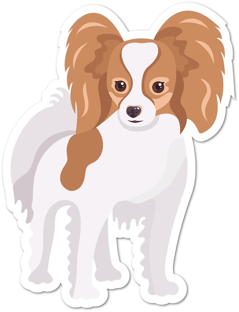 Vector cartoon papillon dog sticker isolated on white background cute vector little pet domestic animal