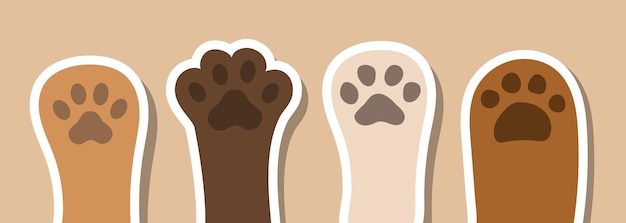 Vector cartoon paws of a cat paws set vector clipart