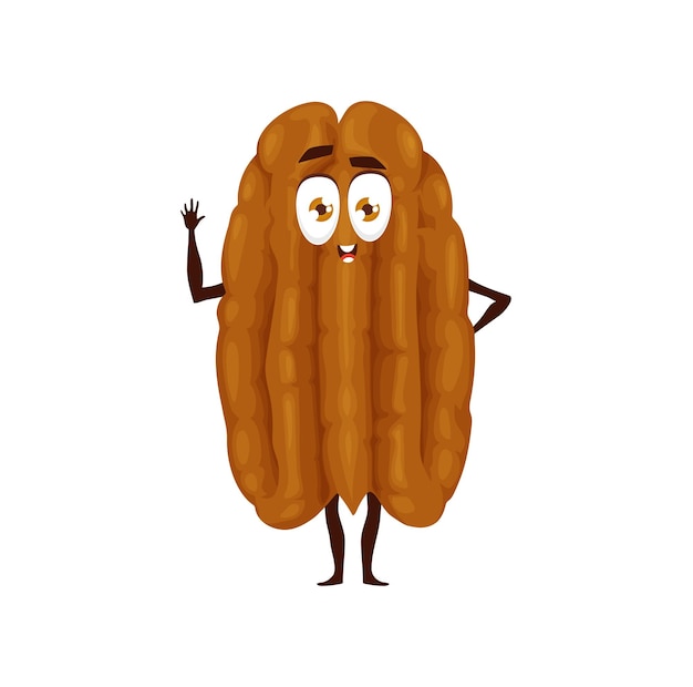 Cartoon pecan nut character, kids yummy food