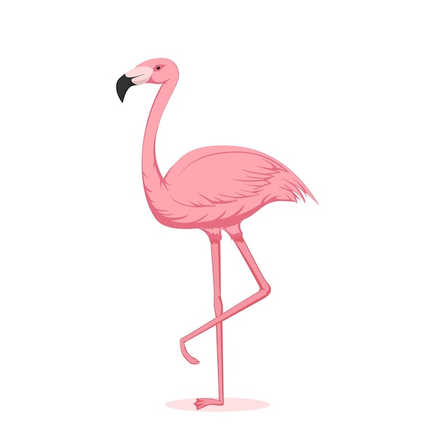 Cartoon pink flamingo isolated on white background, illustration.