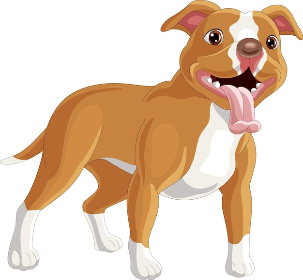 Cartoon pitbull dog on white background