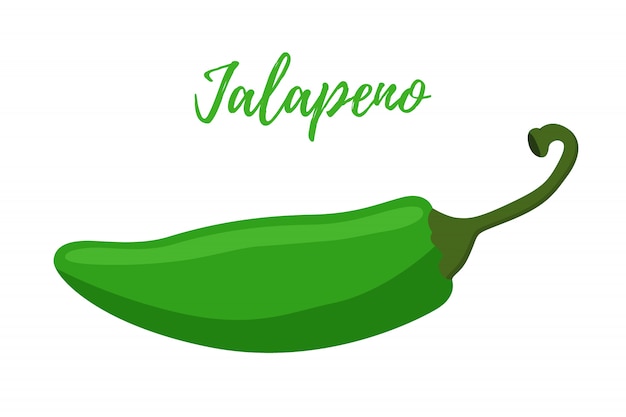 Cartoon platte jalapeno. Hete groene peper